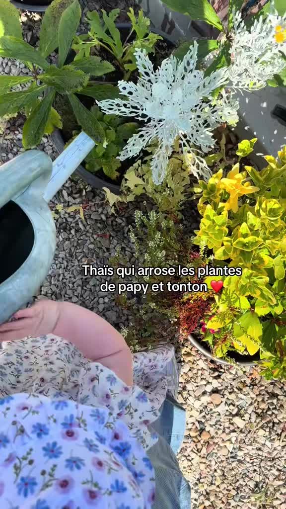 @Manon Rocton