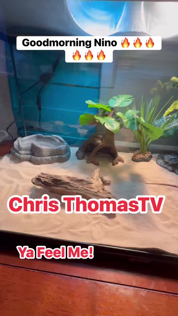@Chris_ThomasTV