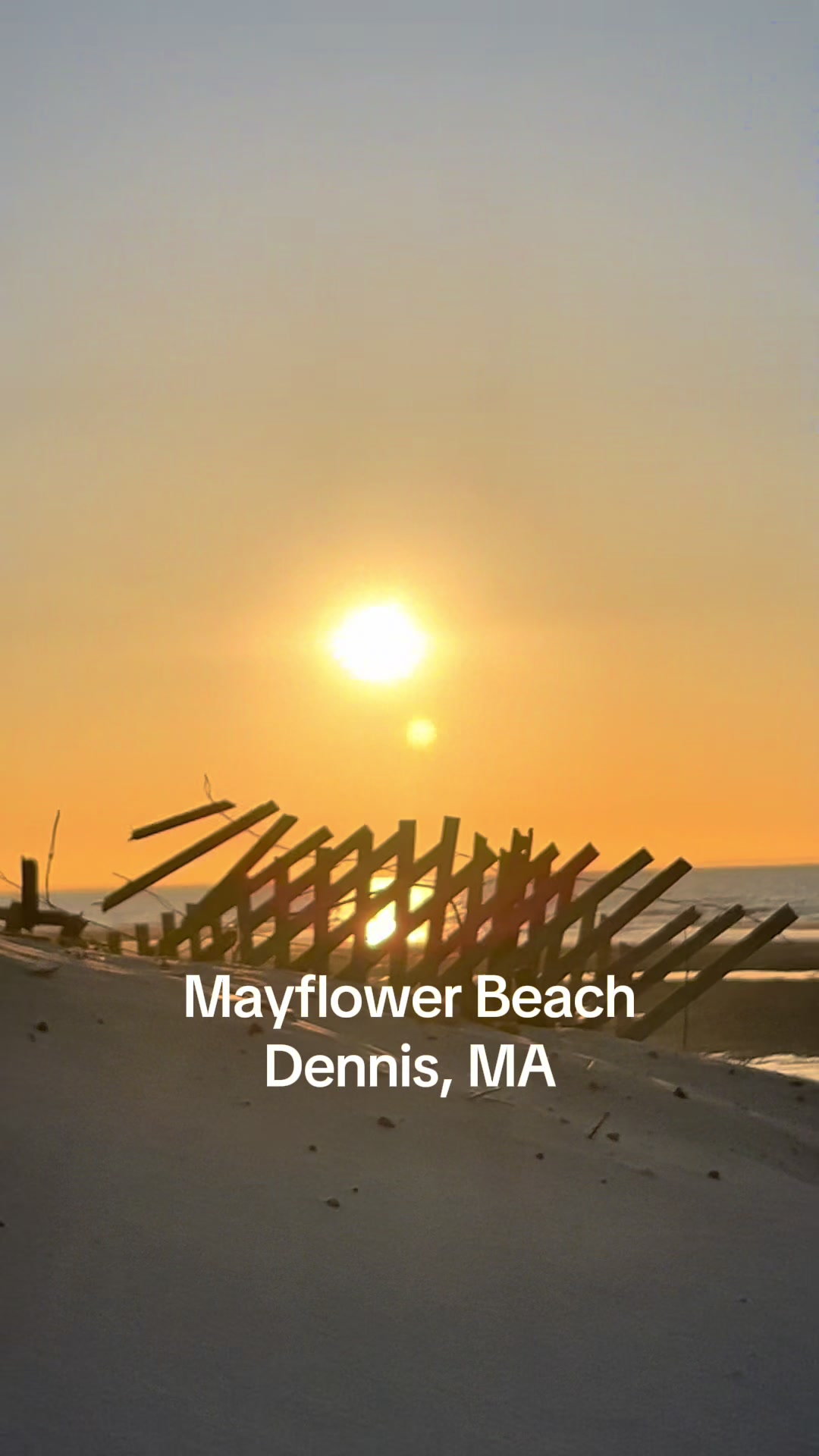 @CapeCodBeachLife