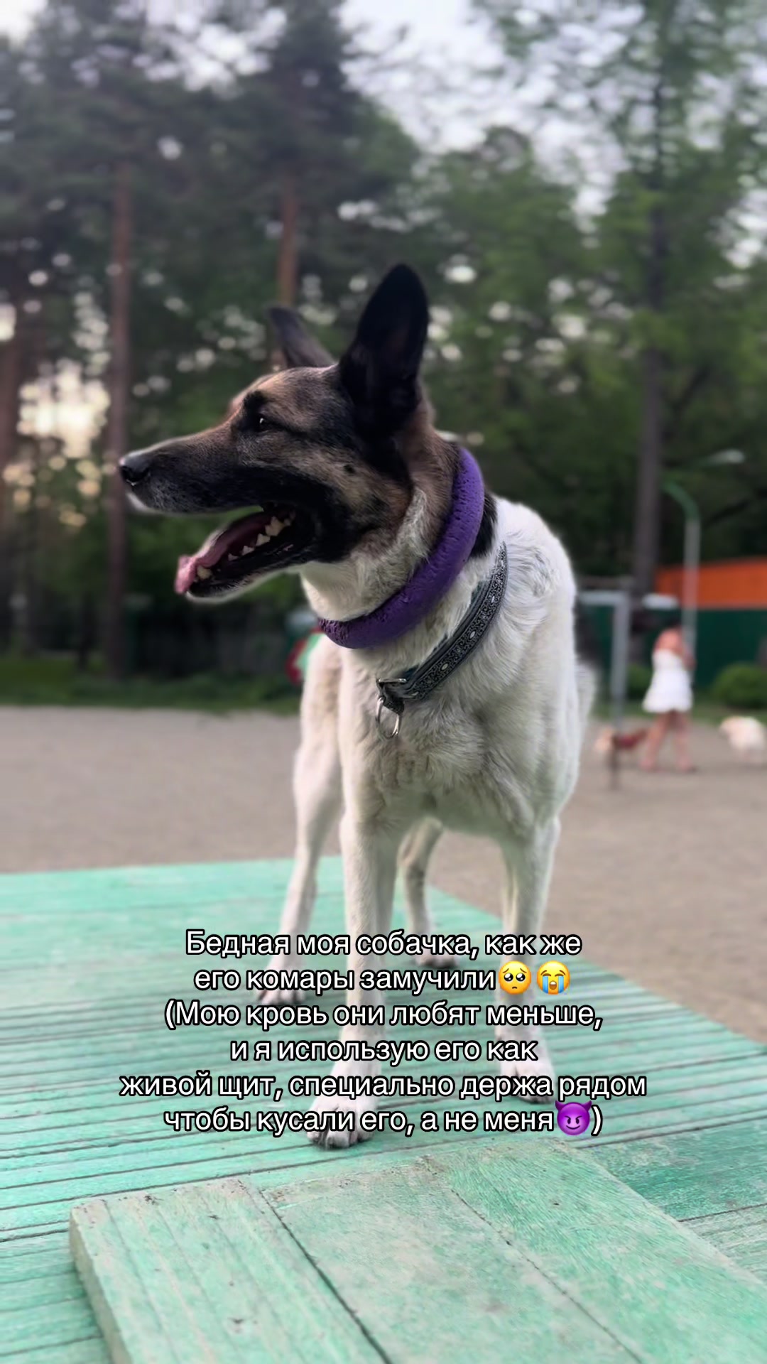 @Малышка❤️