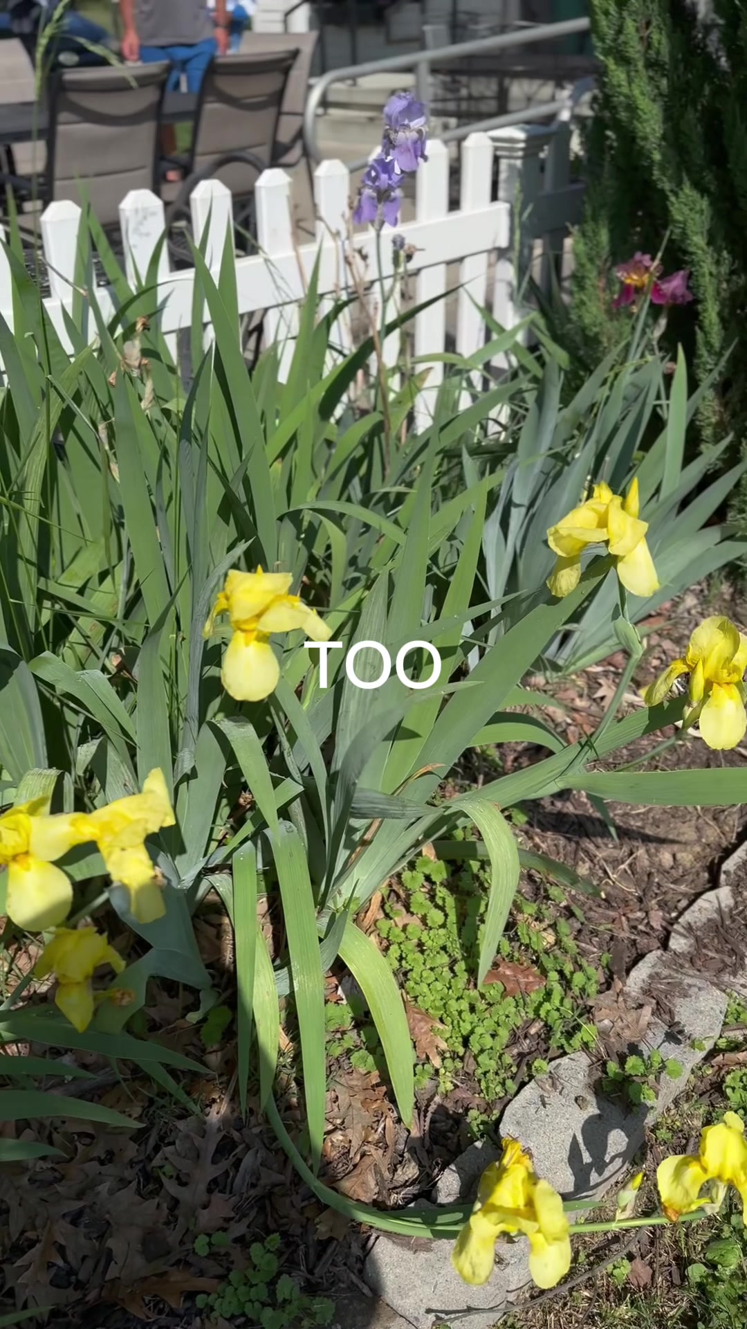@𝘉𝘳𝘢𝘯𝘥𝘪 ᥫ᭡