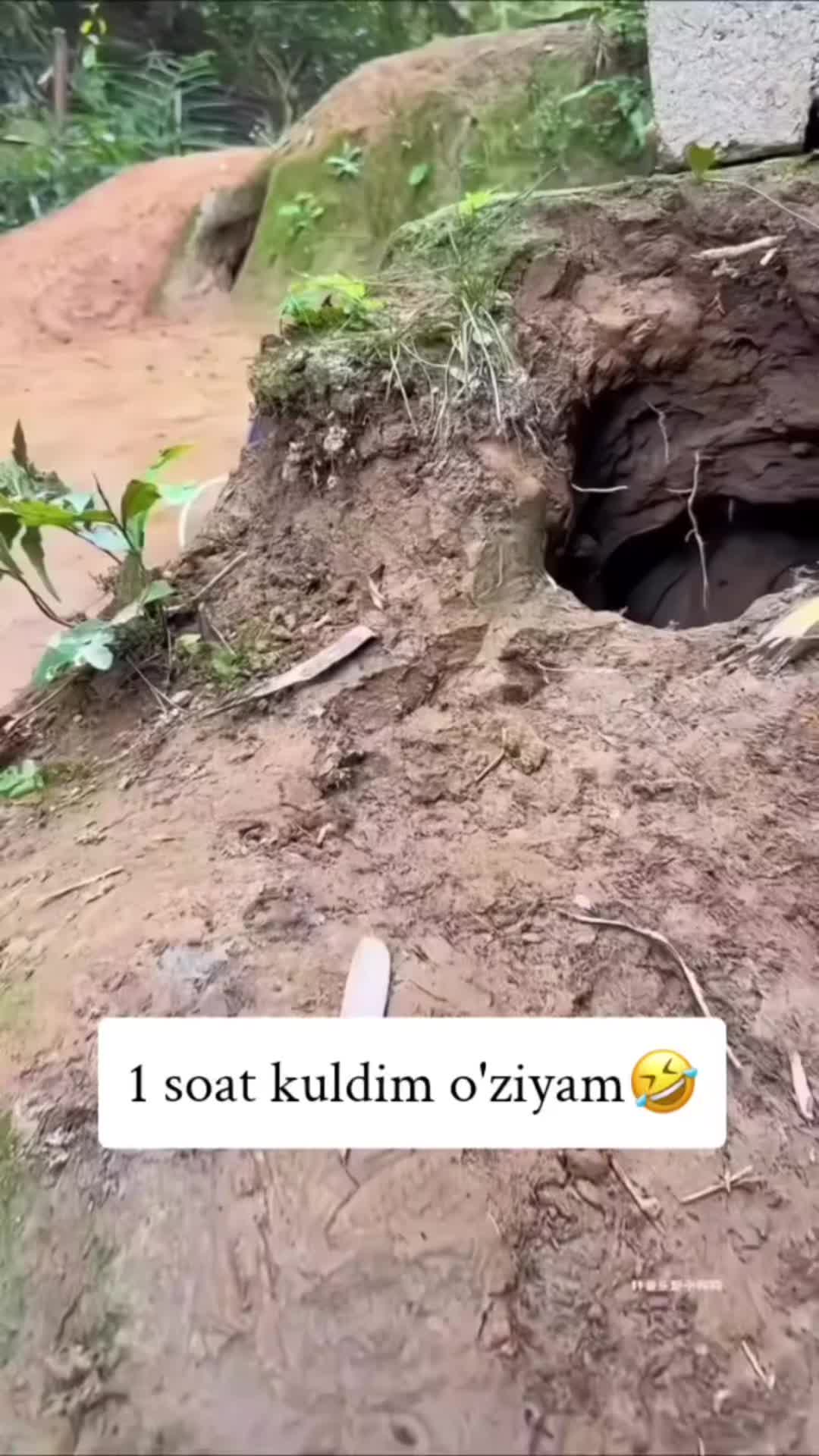 @KOʻXNA BUXORO🇺🇿🛡