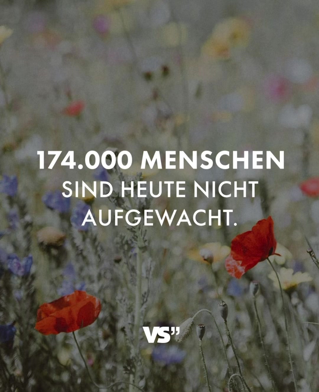 @tschaggi