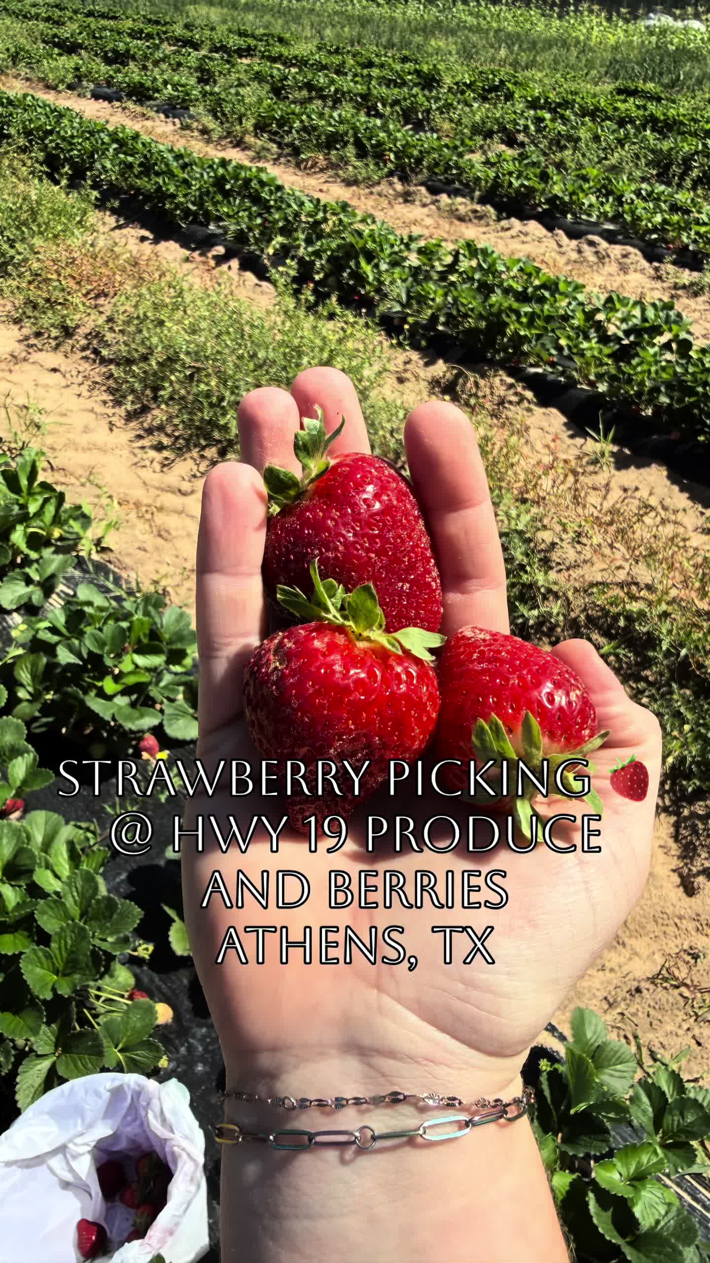 @Jordann | Lady J&rsquo;s Farmstand