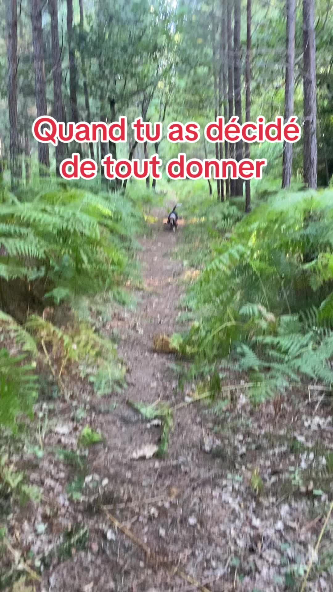 @nathalie..maurice