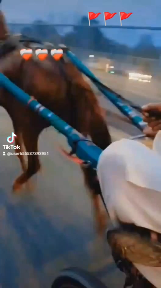 @Sajjad Ali 🐴🐴🐎