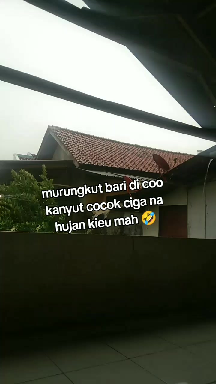 @Sana Sana1295