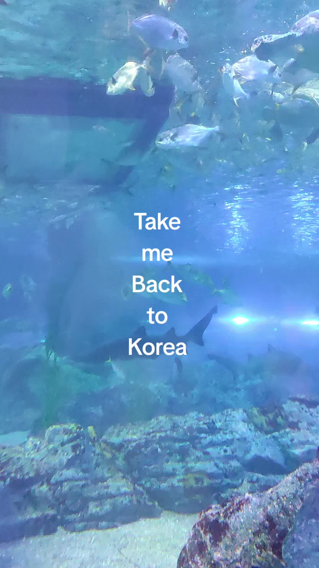 @Yena in Korea