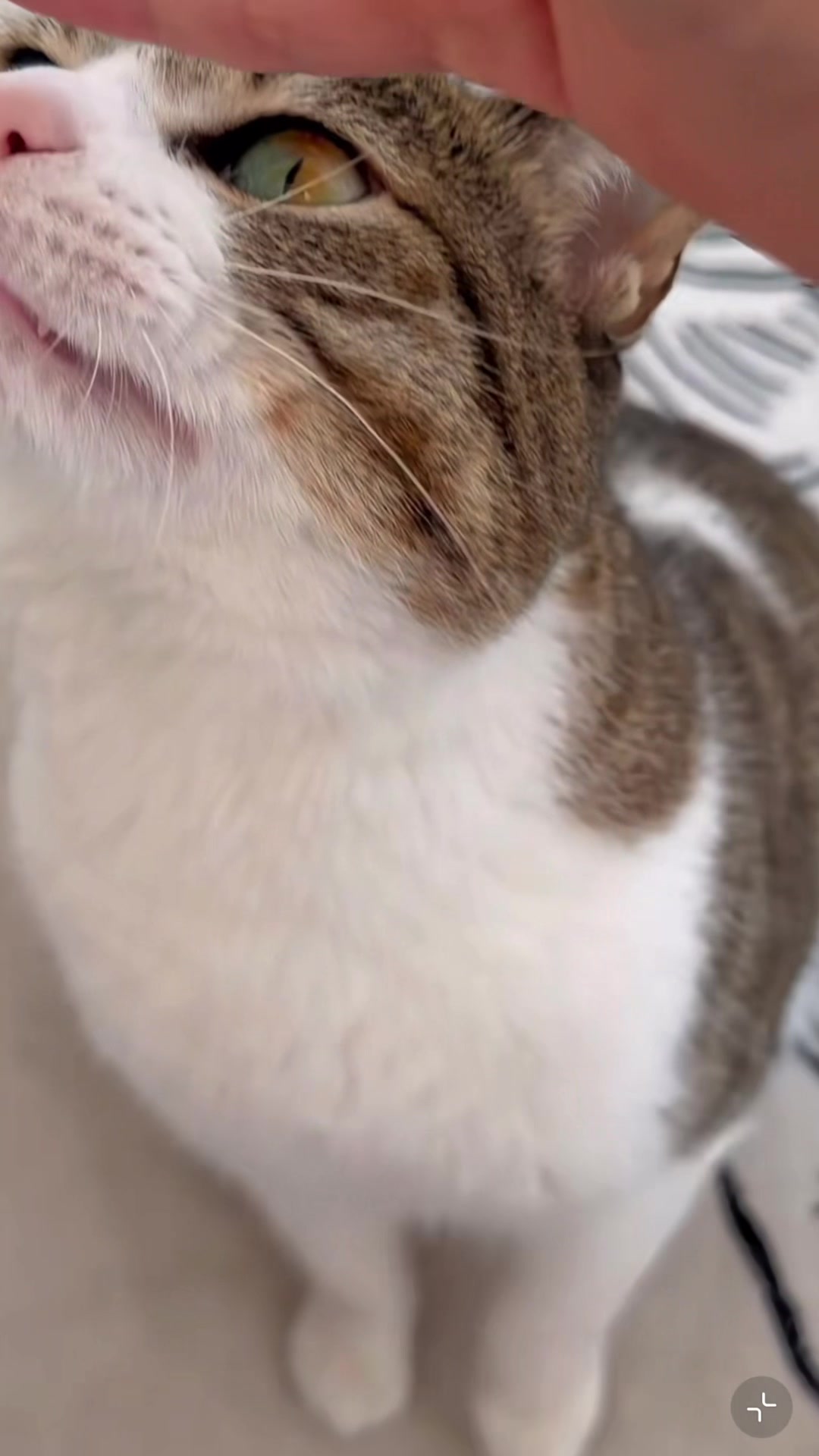 @My Daily Dose of Aww