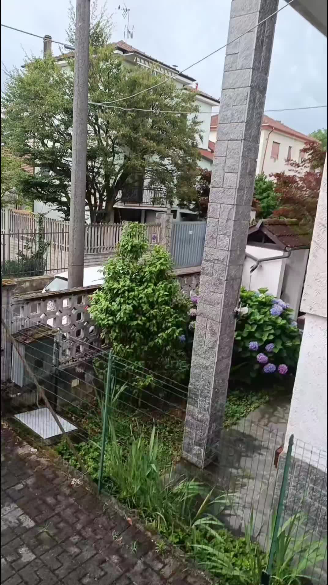 @la_vita_continua🇮🇹