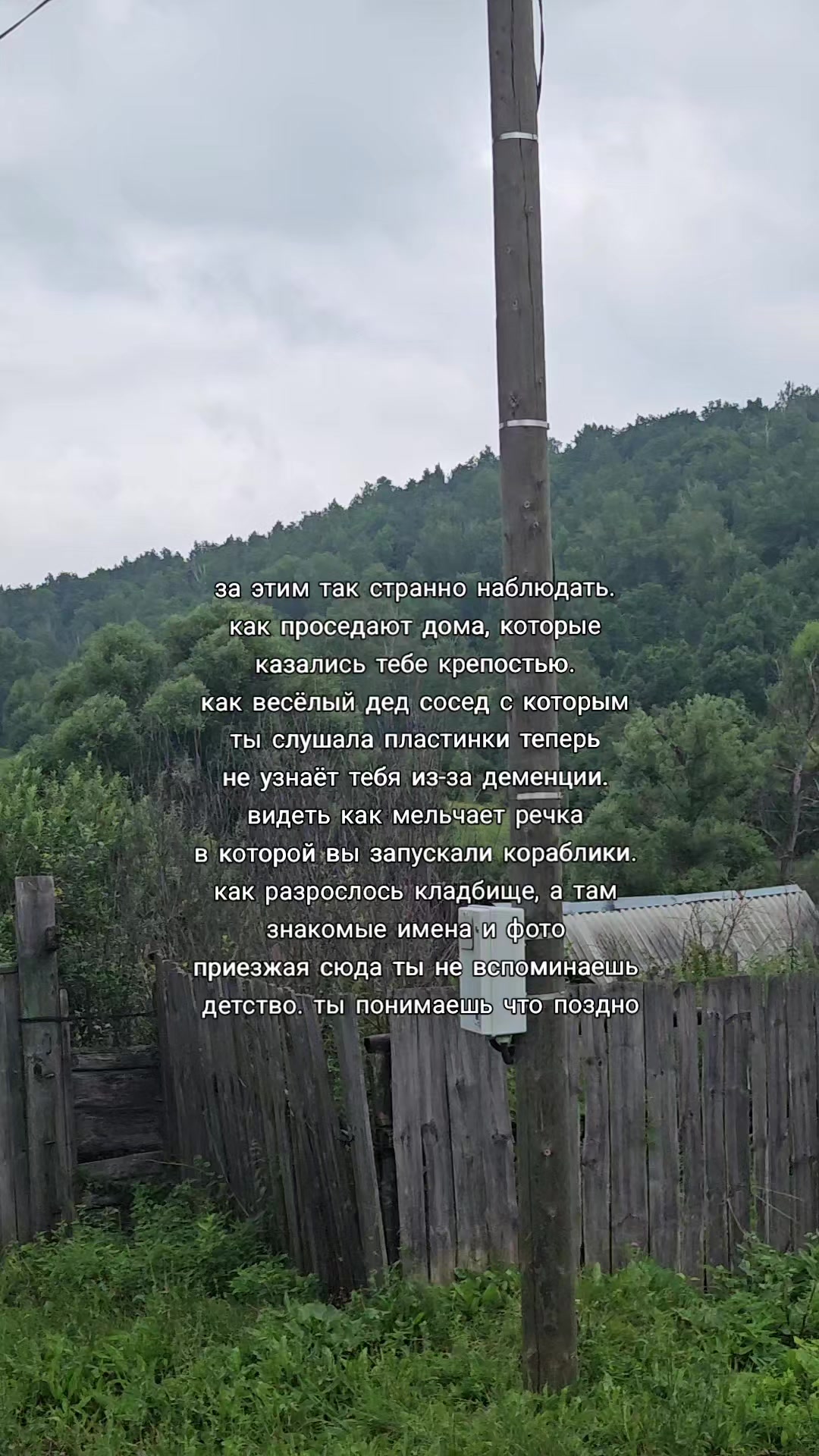 @Роня Хохланд 🍅🐛