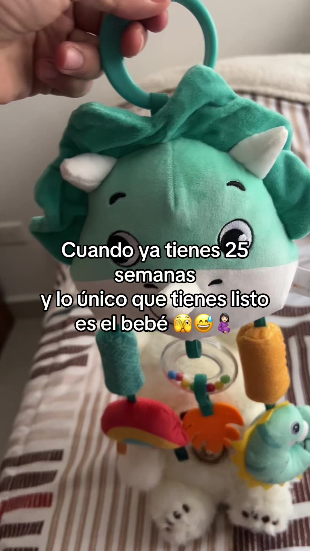 @talparacual