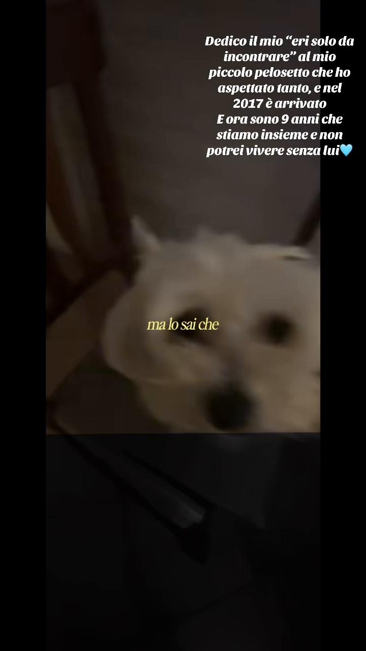 @Alfamylove💛☀️