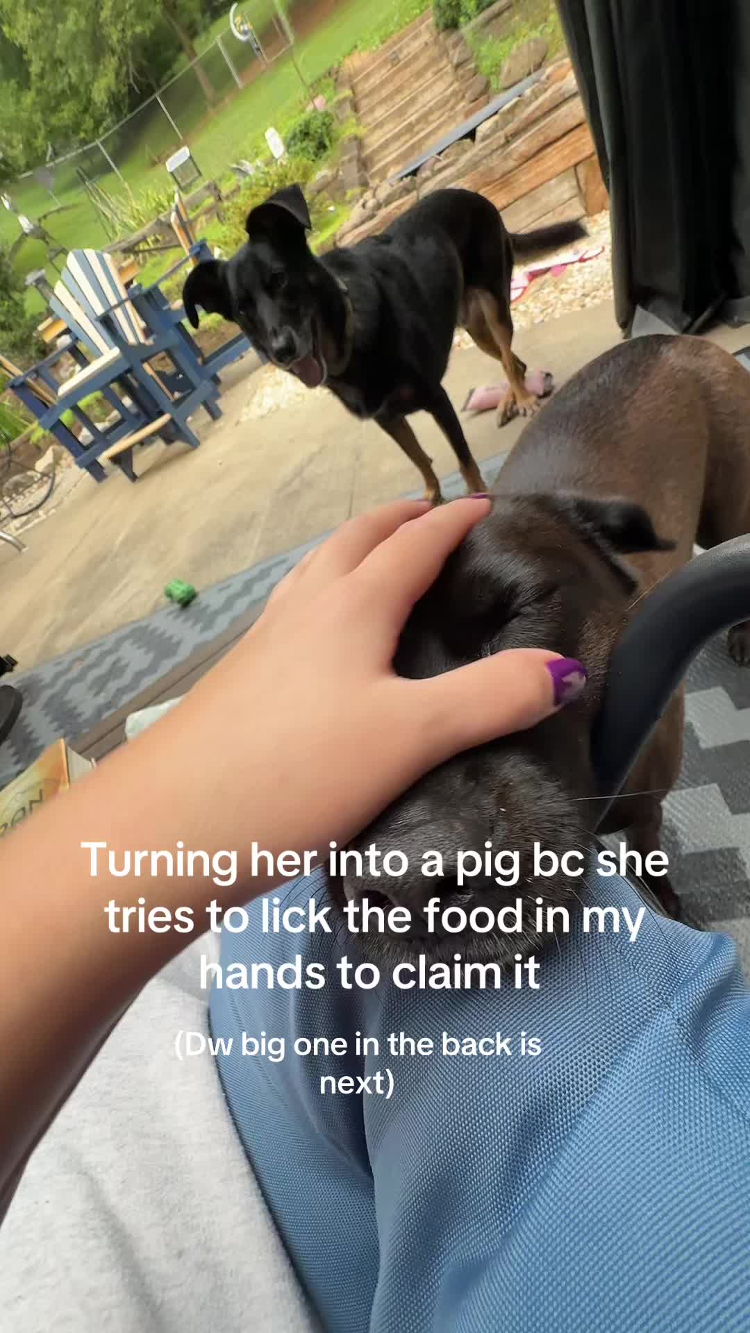 @theeferalwife