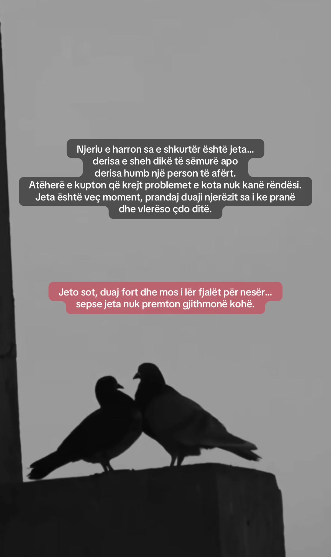 @fjaleza