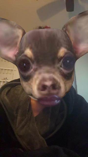 @tveganbabe