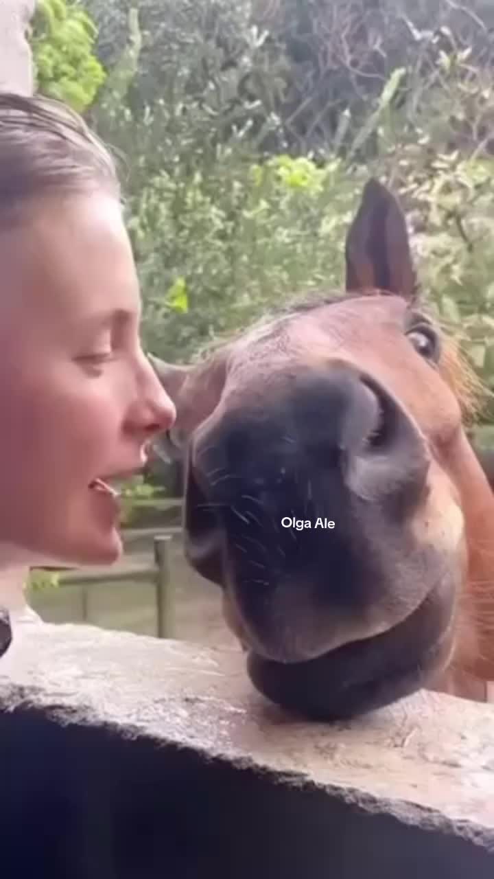 @Olga Ale