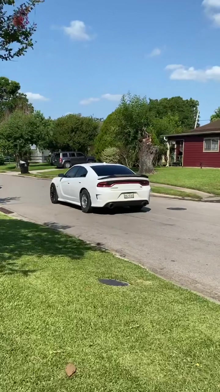 @Onefastscat