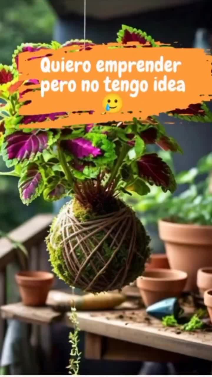 @user20505406424
