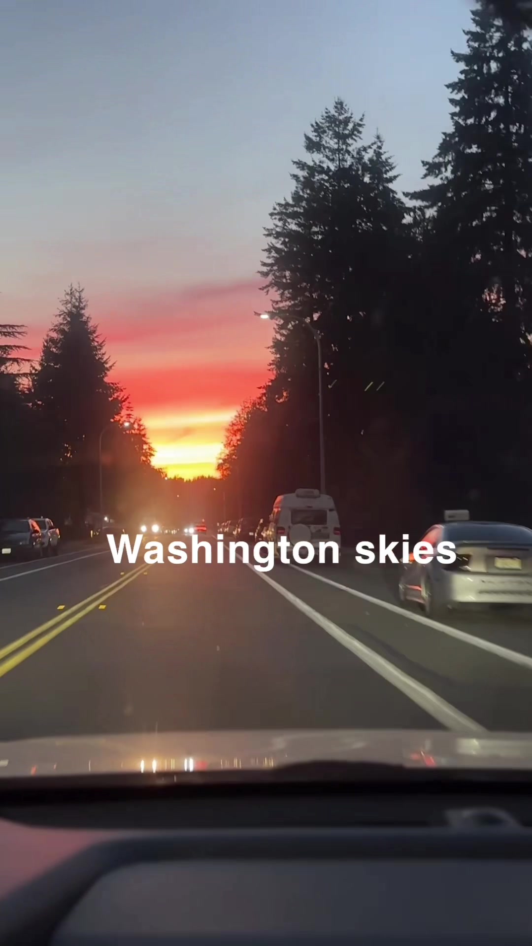 @Sterling_TV | Seattle Creator