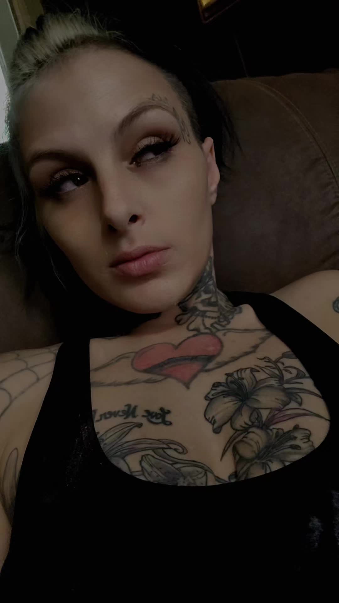 @tabby420