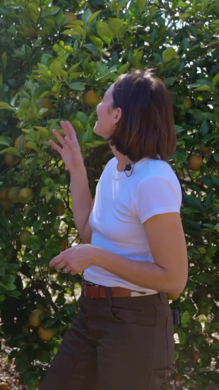 @discoverag