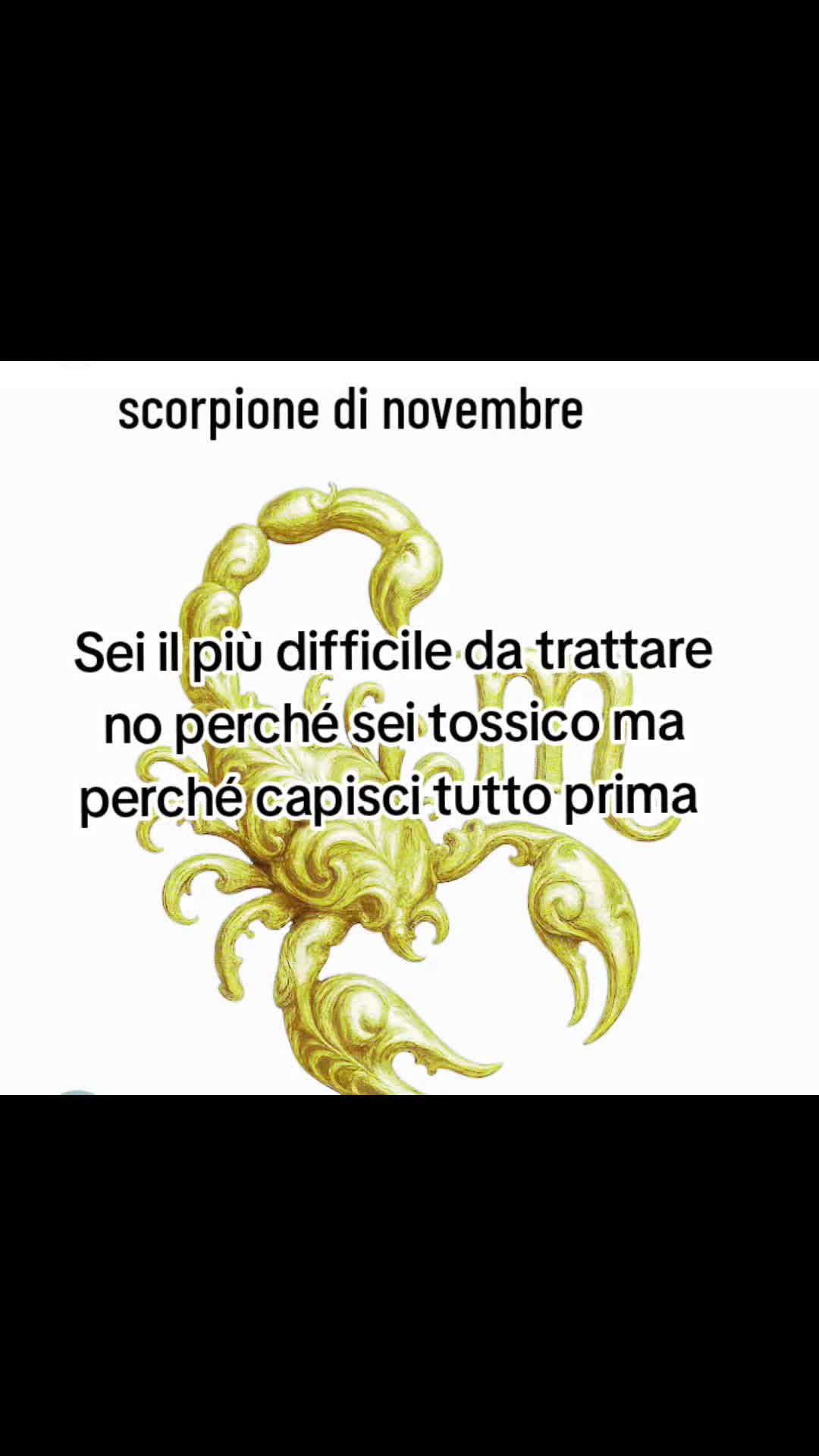 @Vita Maria