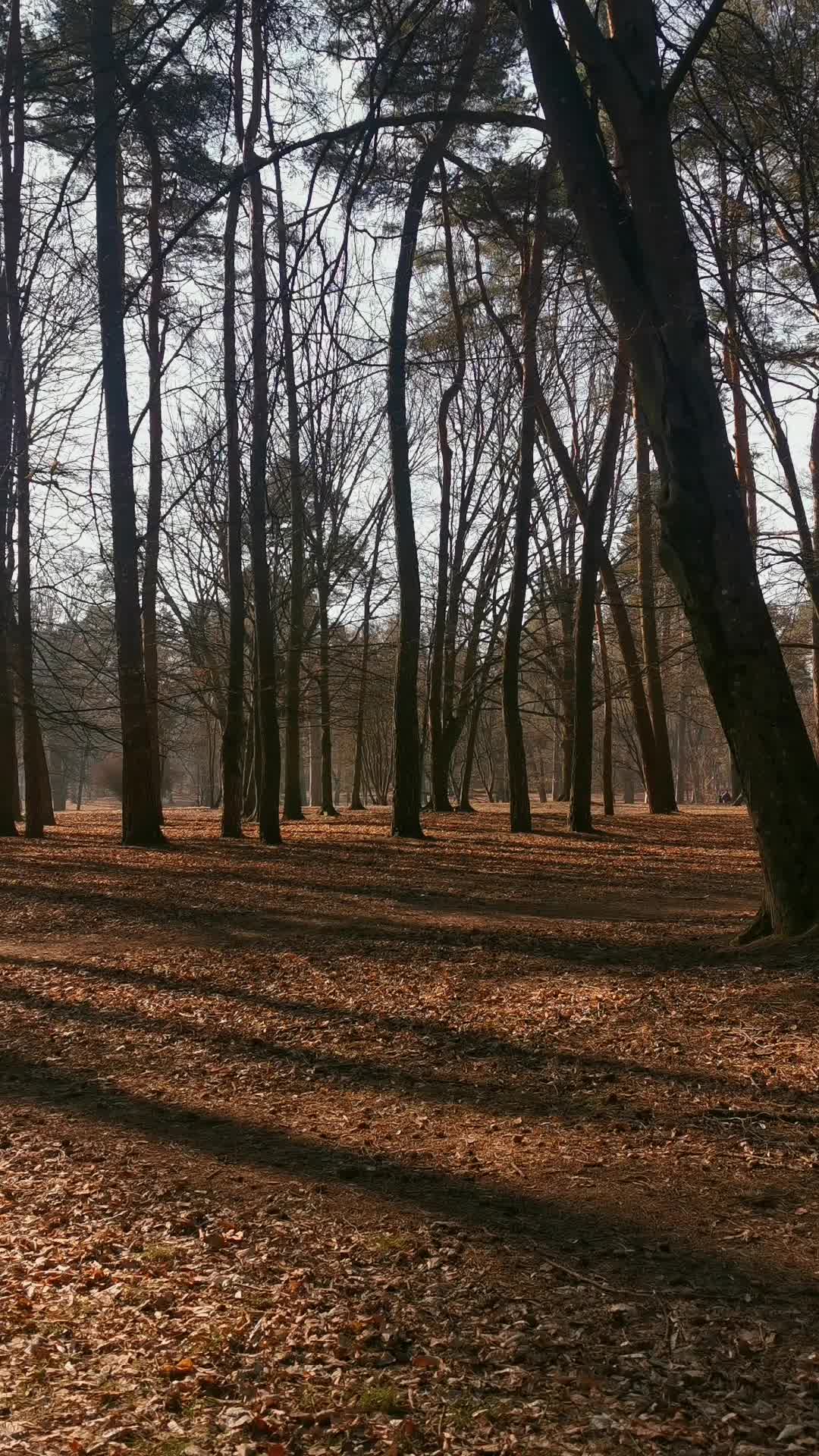@angelka