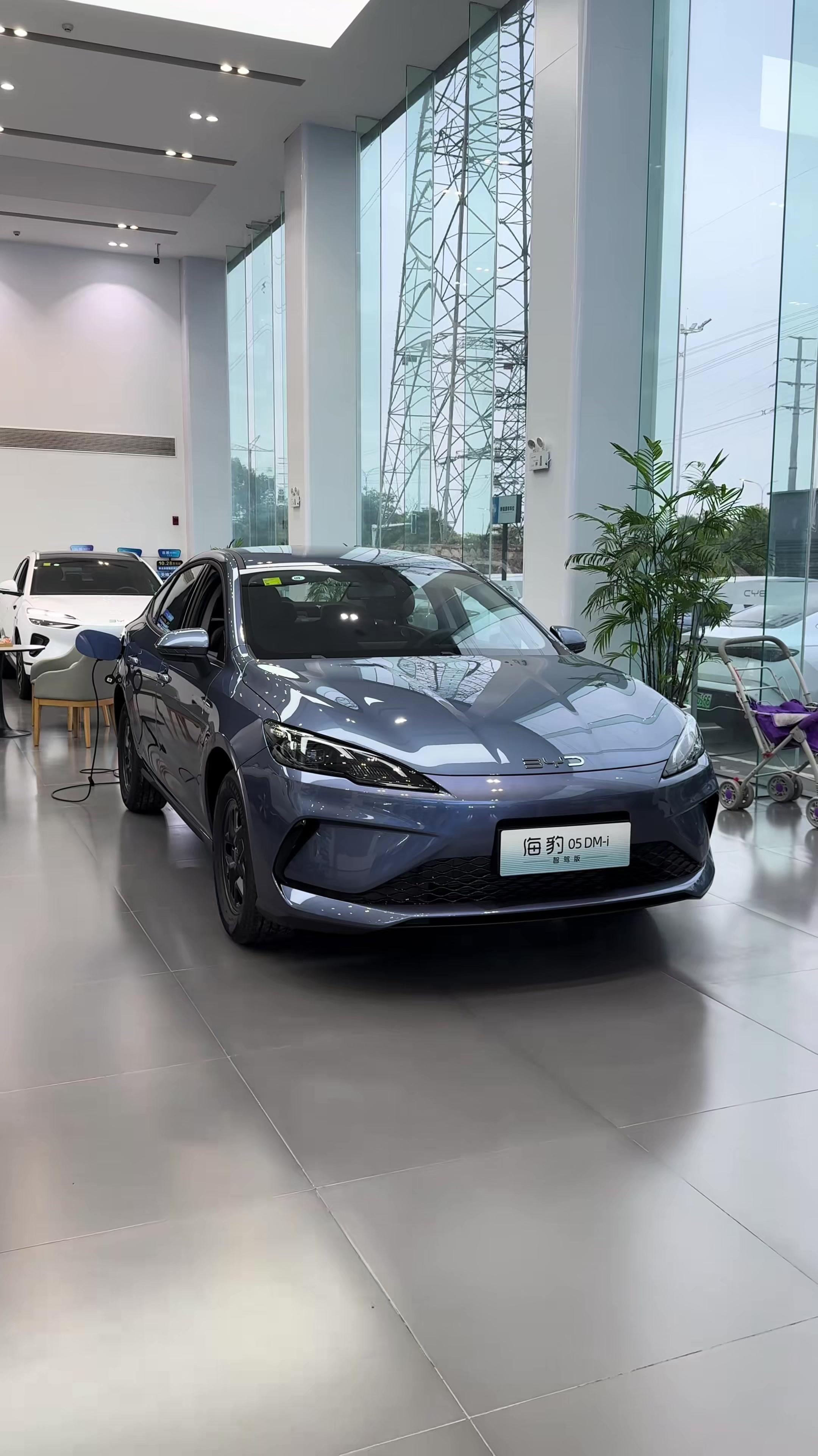 @BYD.EV’S ๐
