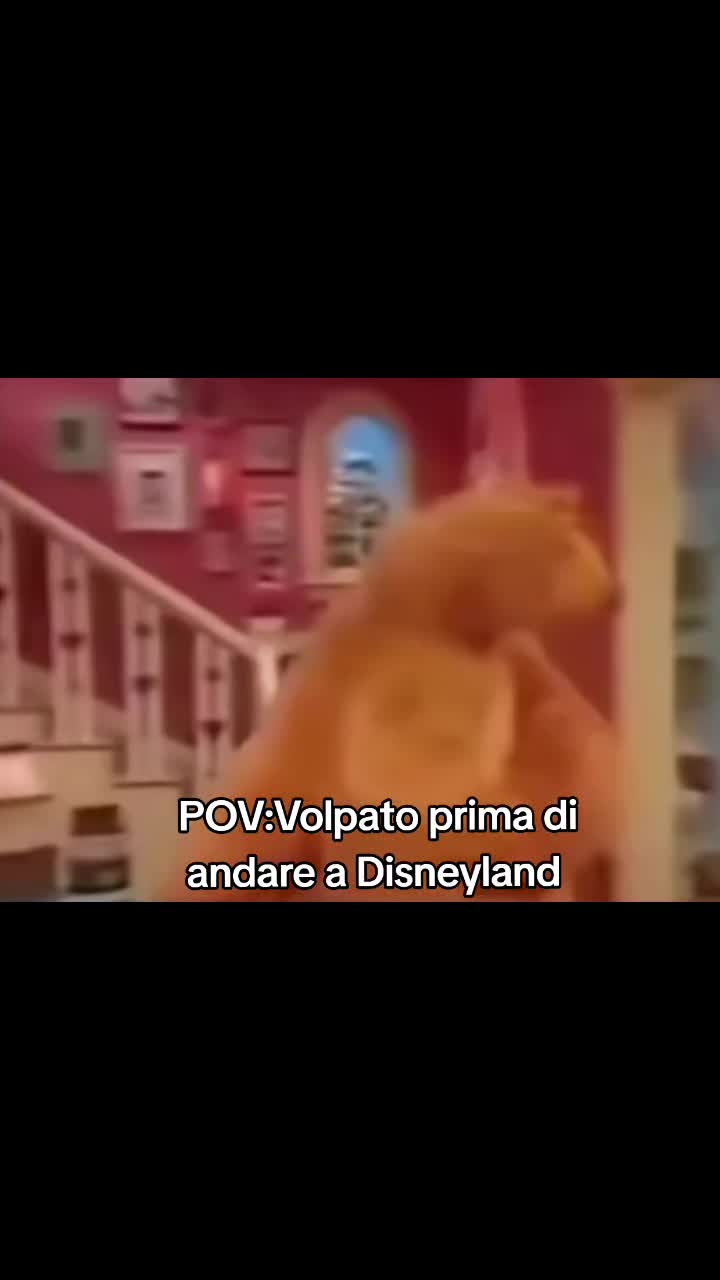 @Il_Tiktoker_della_Puglia