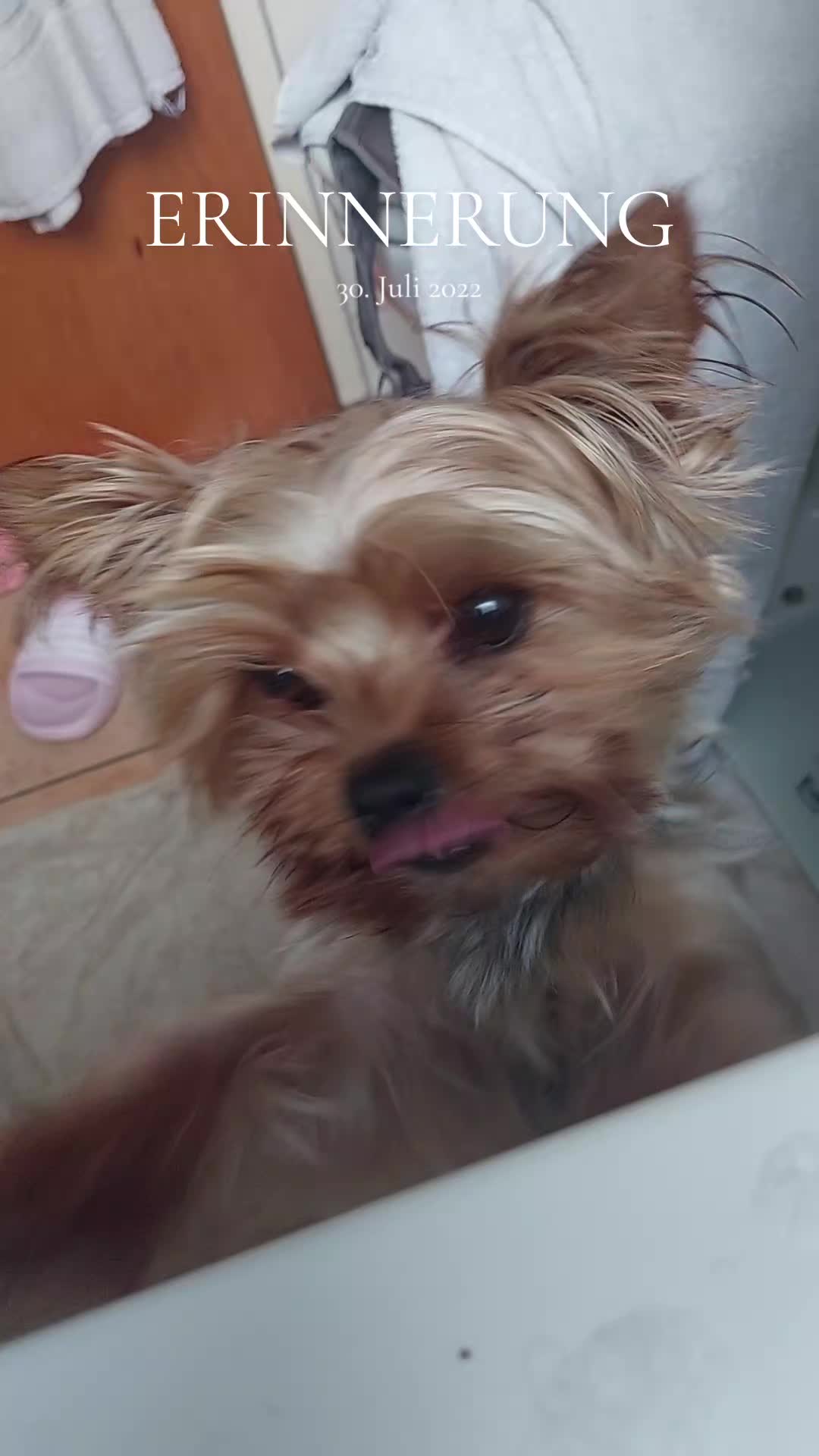 @chaosjenny🥰🤪