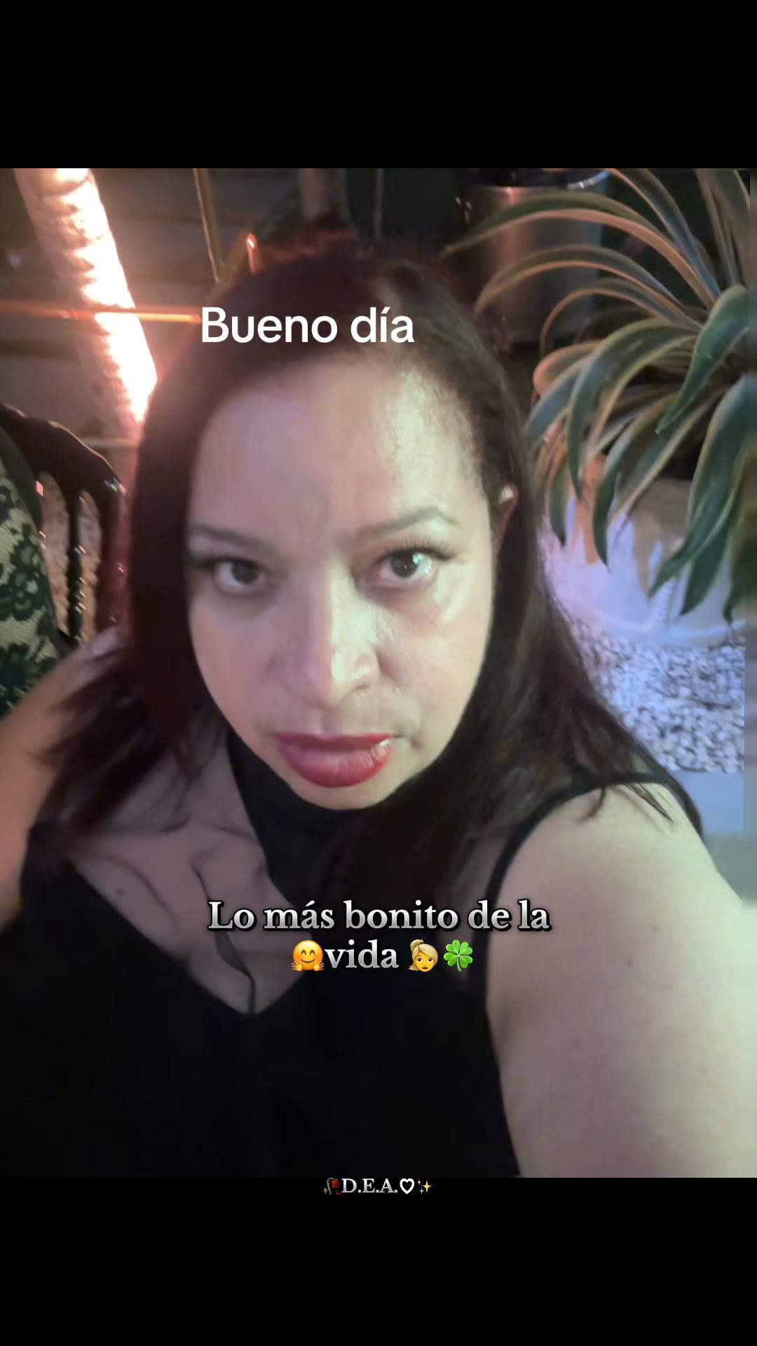 @carolicorniel6