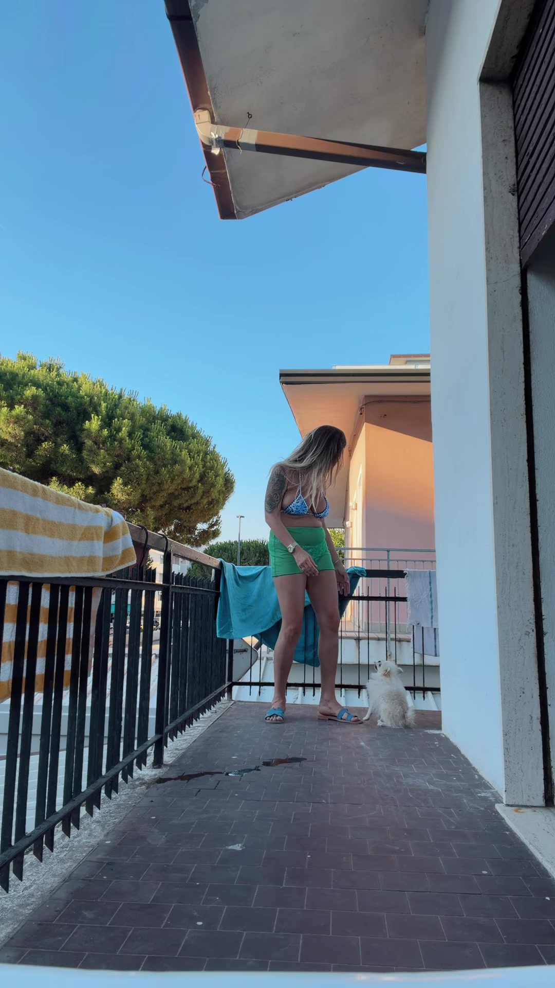 @Simona Avasiloaie