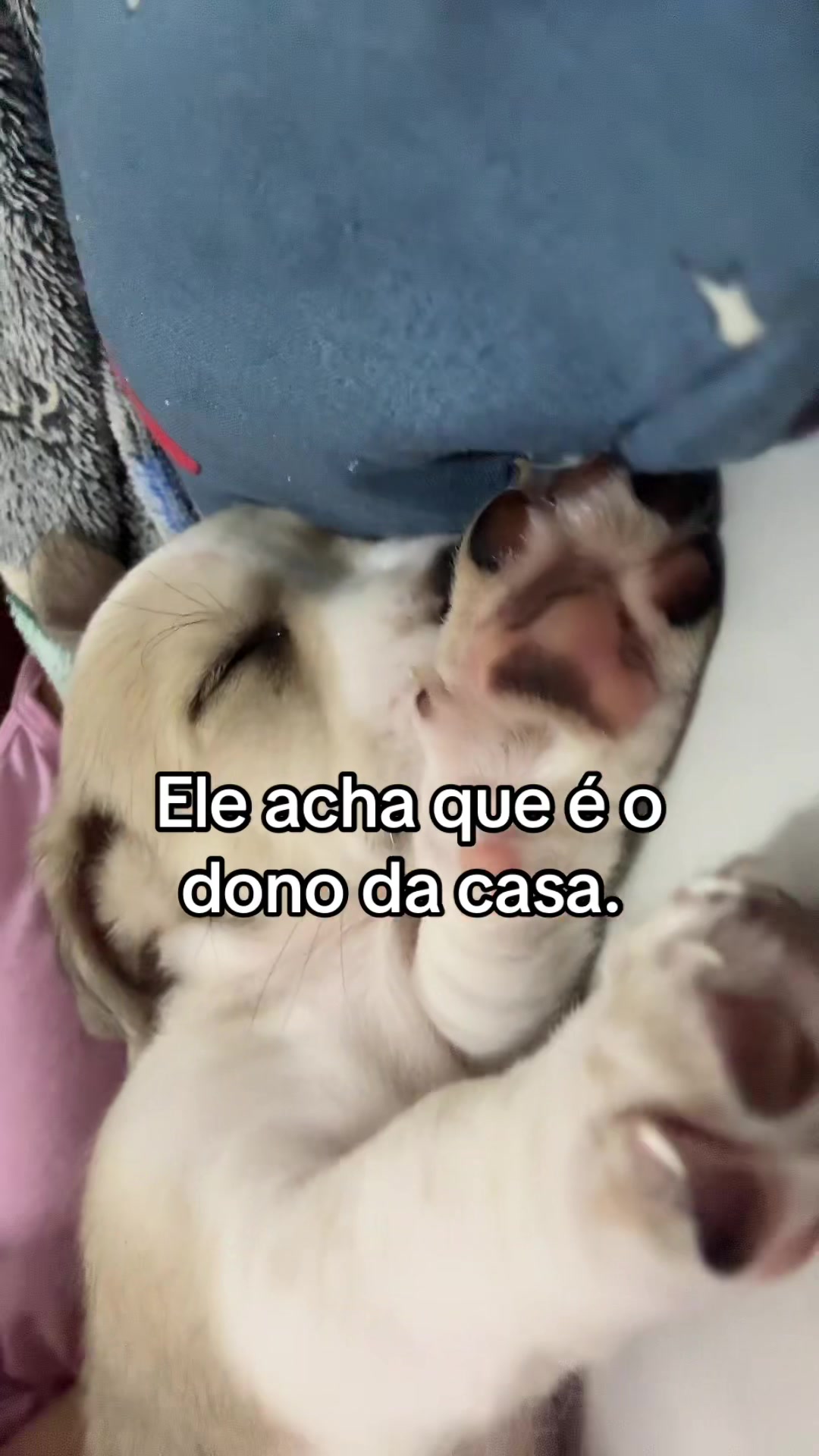 @🦊JU CABELEIREIRA🦊