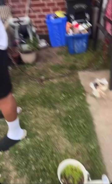 @duhitsbrxt