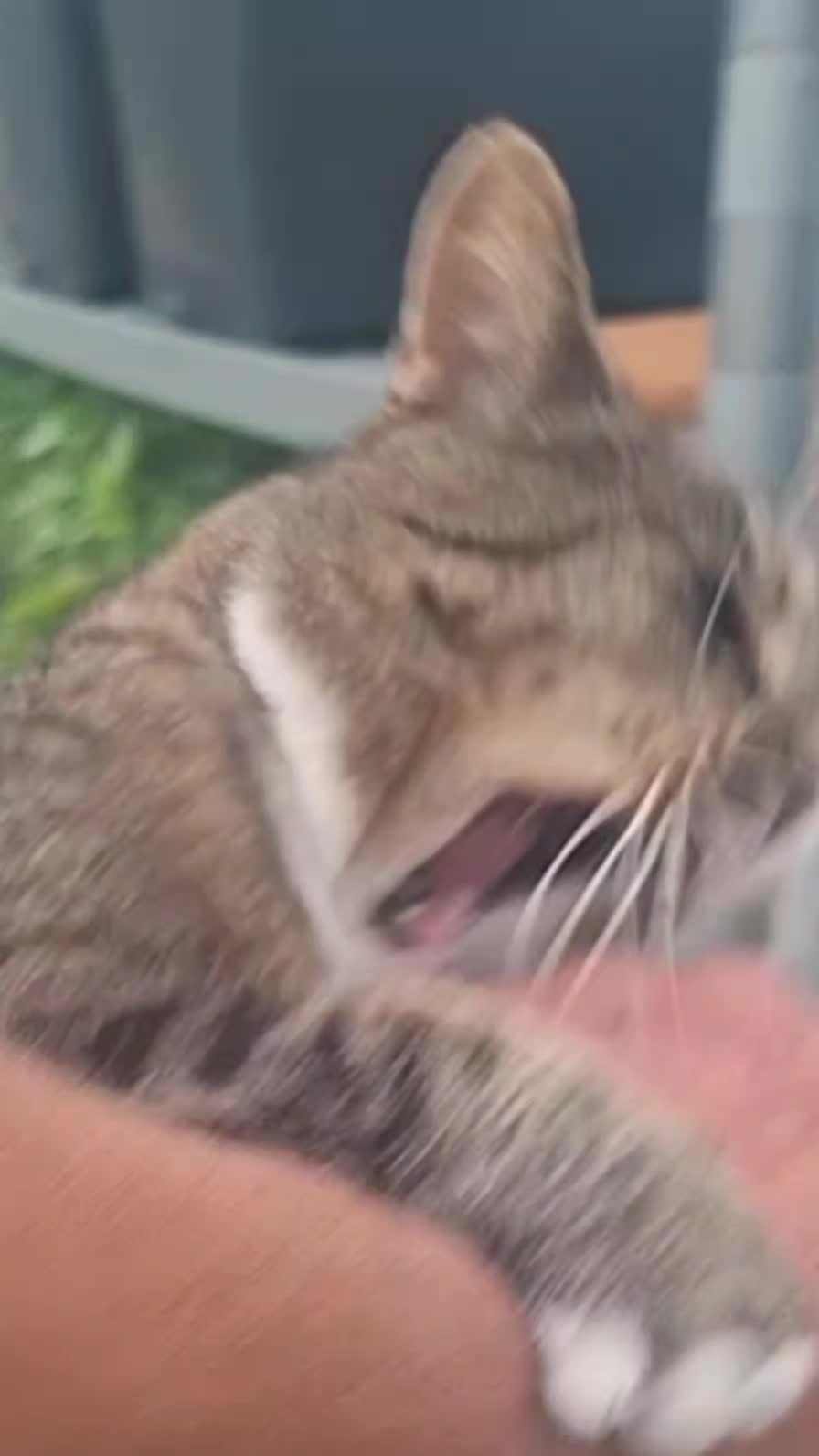 @pether