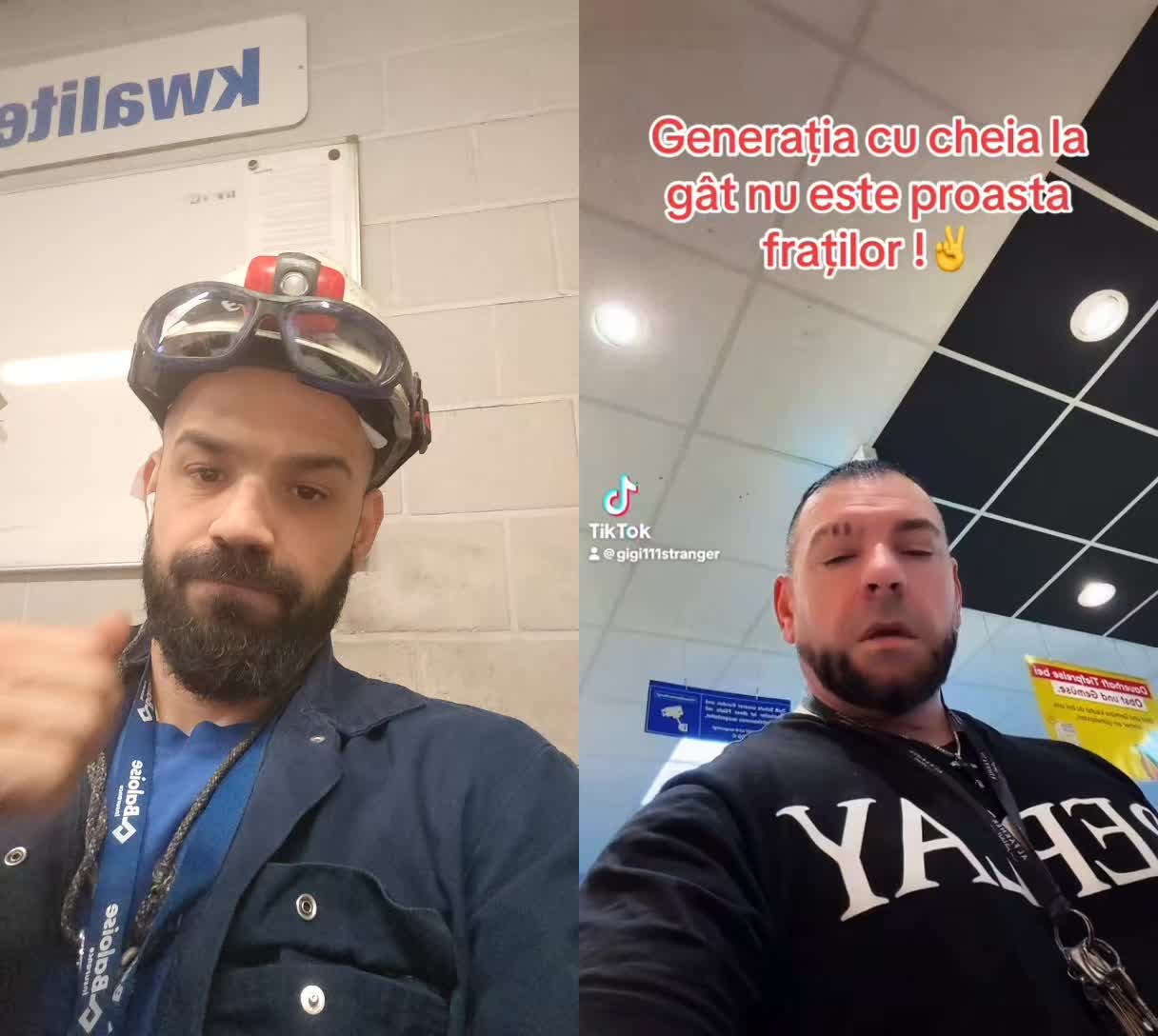 @Jhony - wolf alpha-fitness