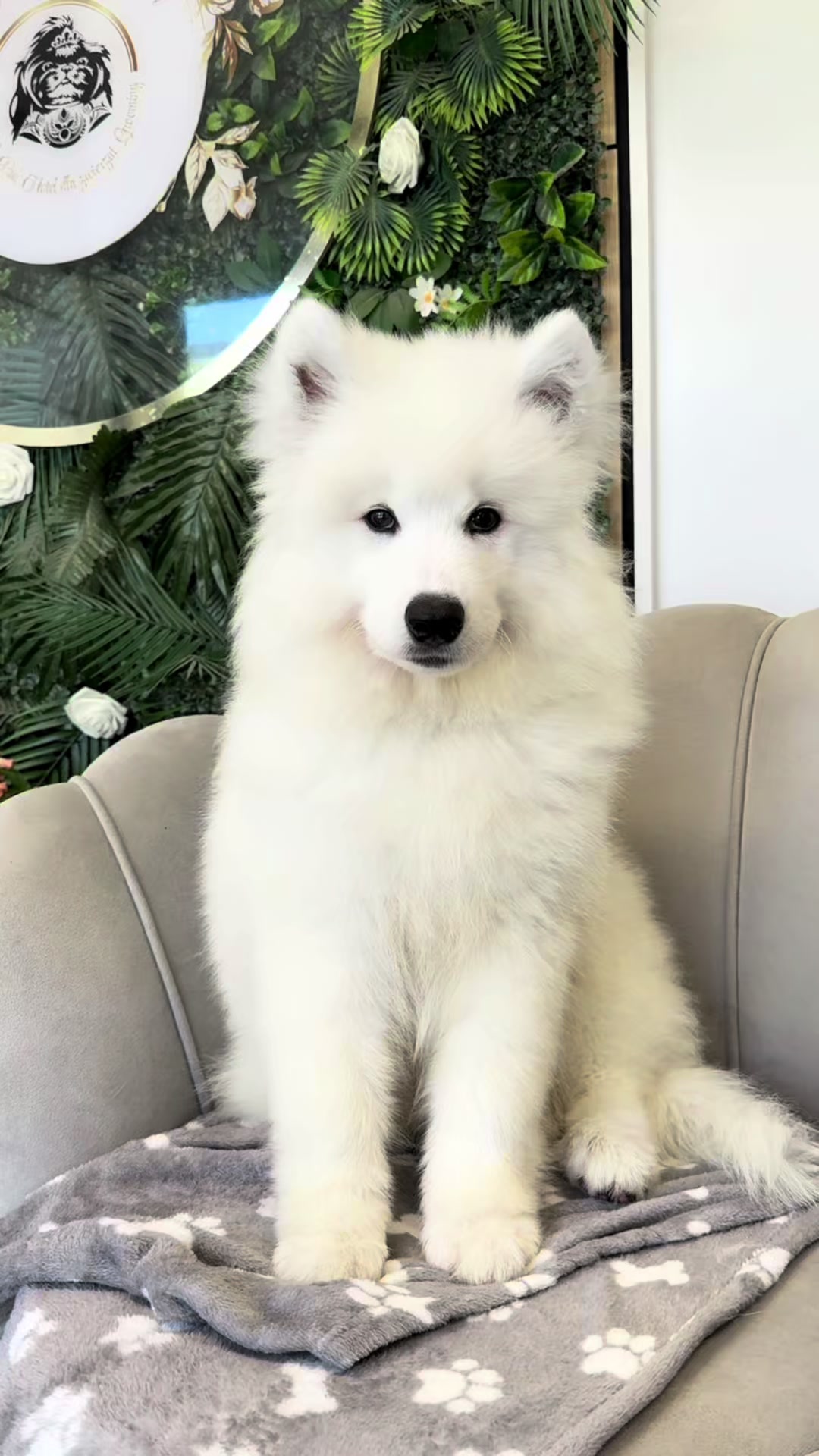 @iwanxoczko