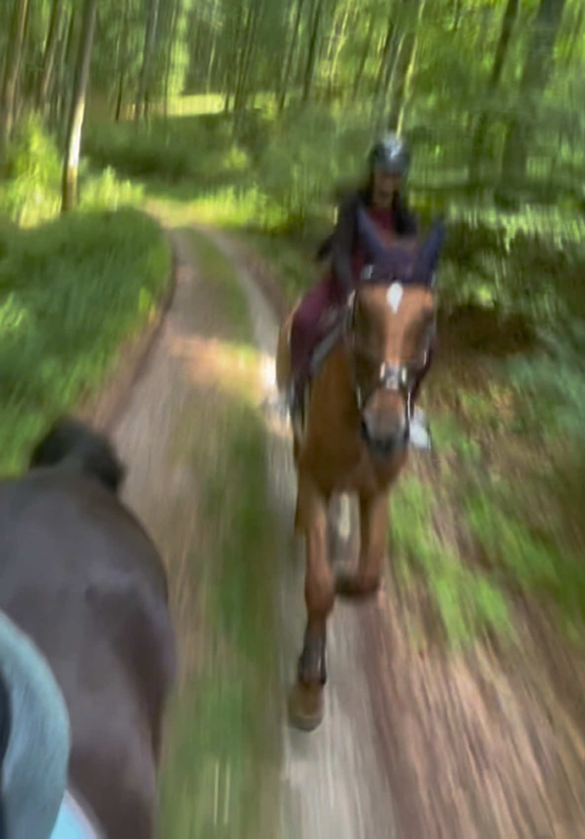 @annalisa.equestrian
