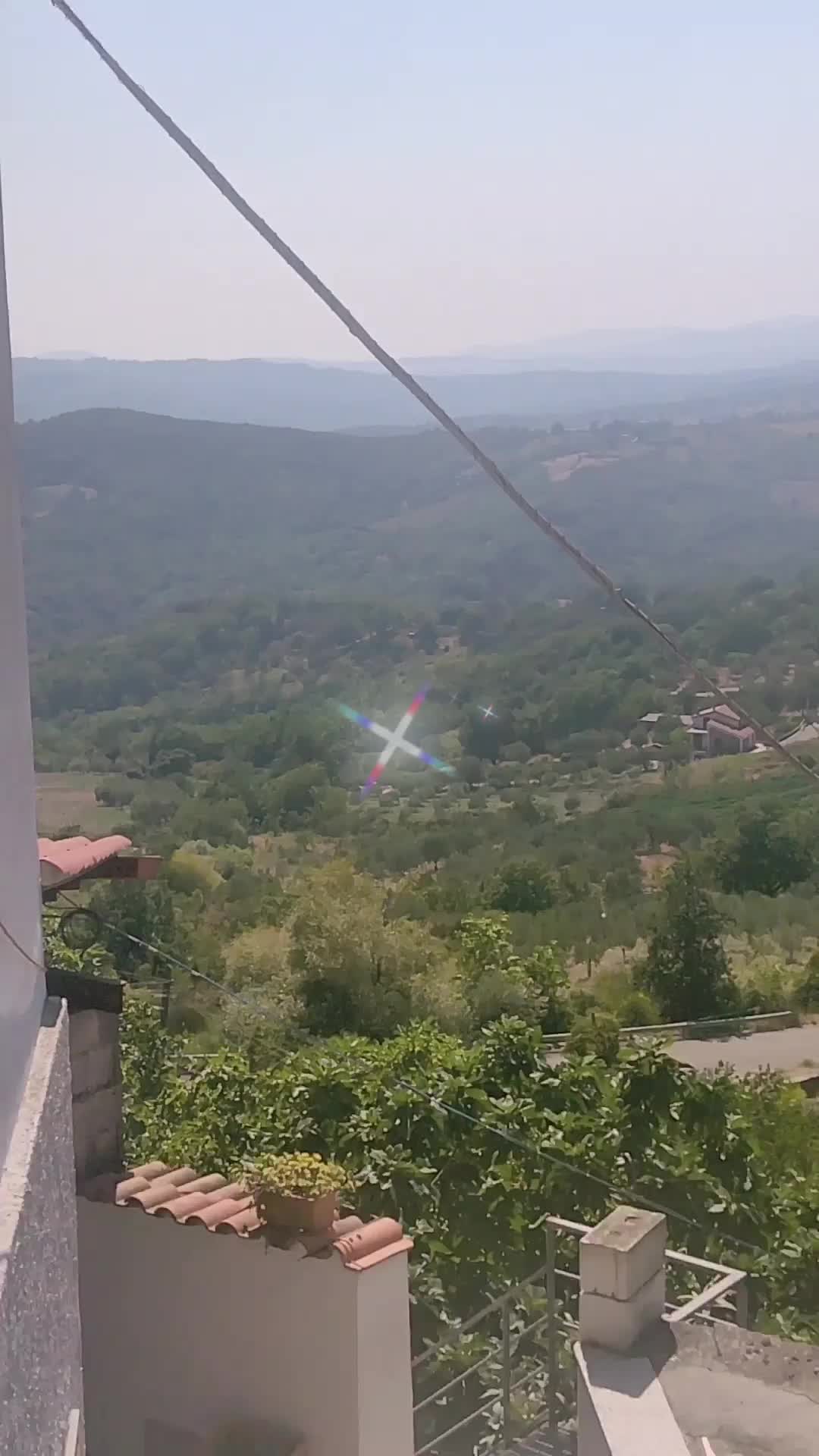 @Amato Massimo