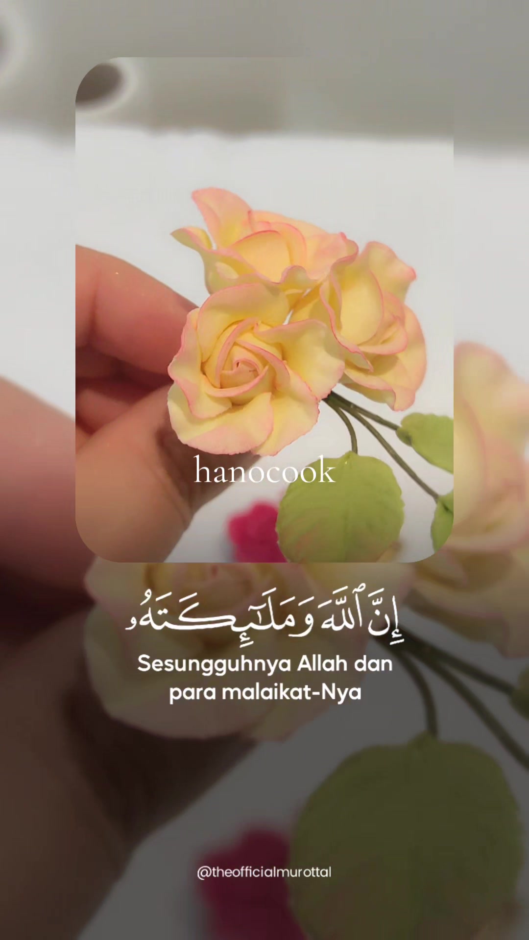@hanocook