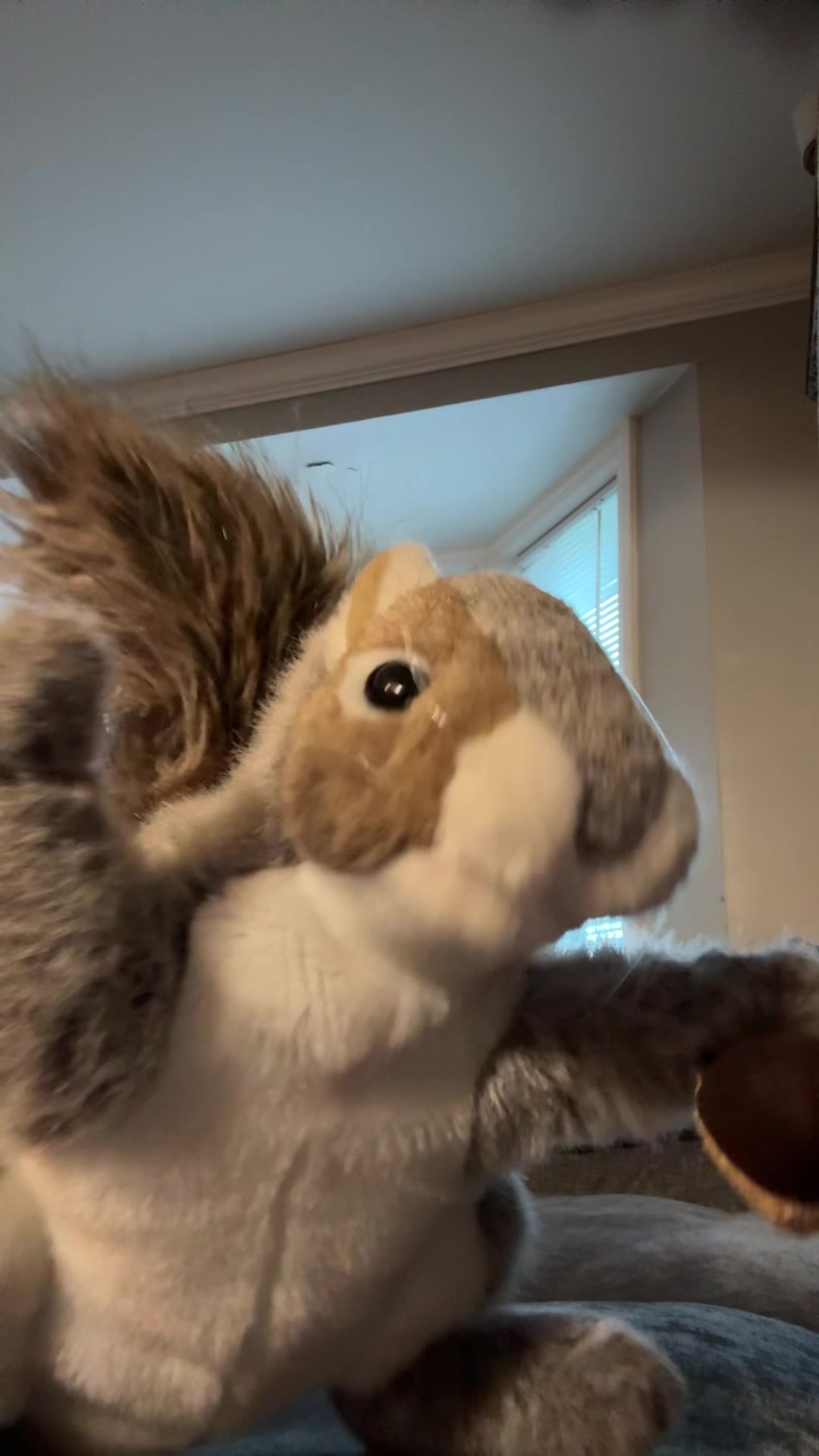 @Apple squirrel