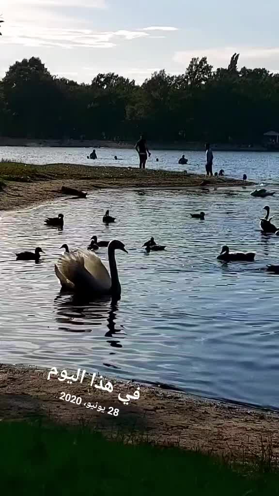 @ام عبوده