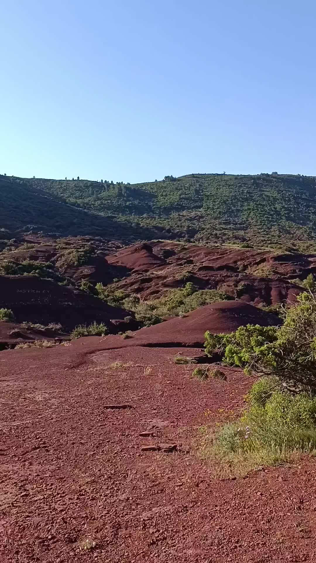 @Jo&atilde;o Cardoso