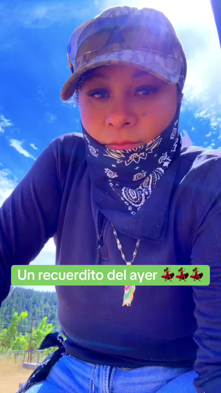 @Palmis