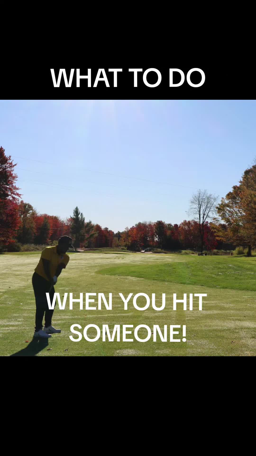 @TGV GOLF