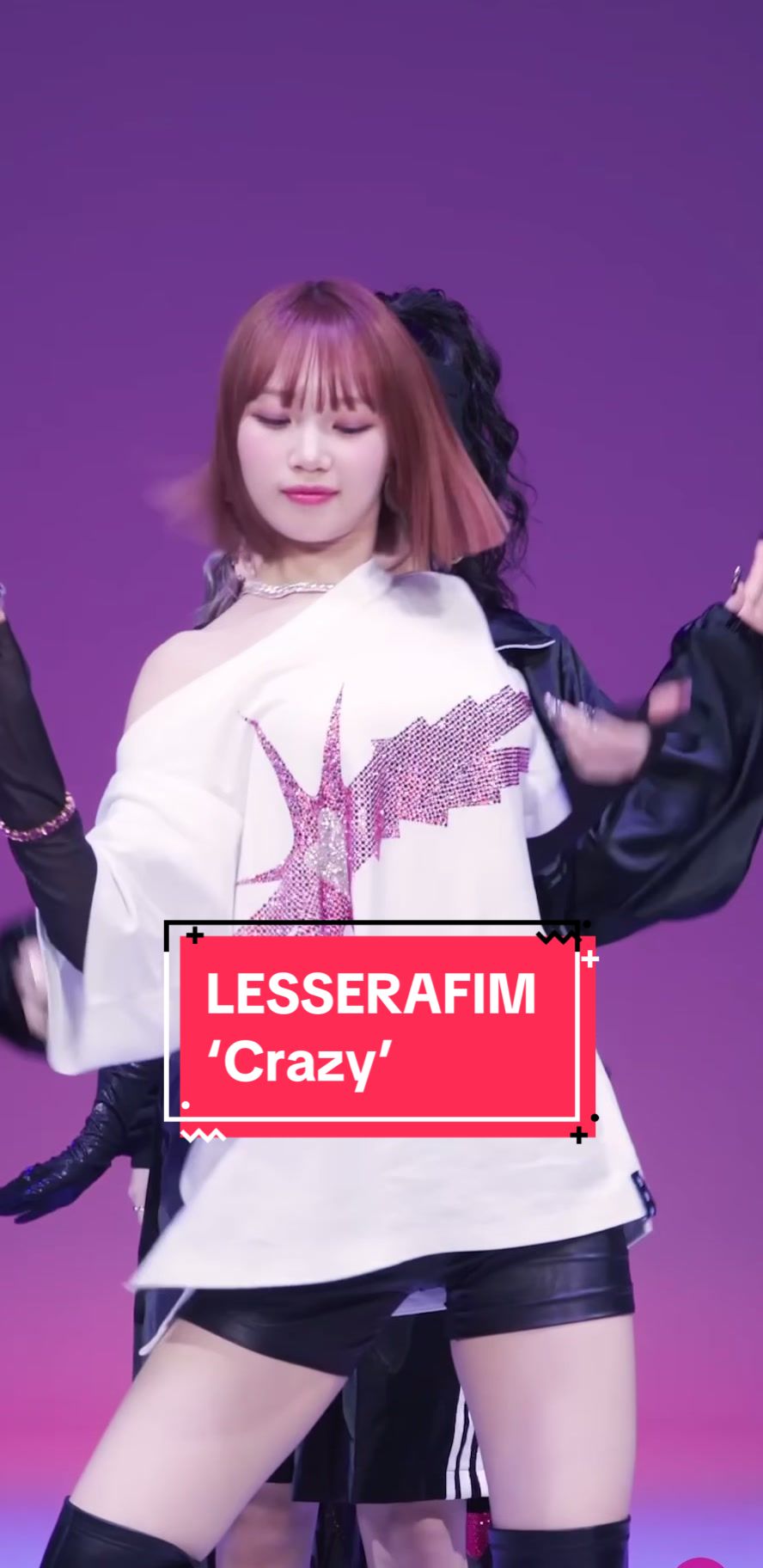 @venus fancams ★