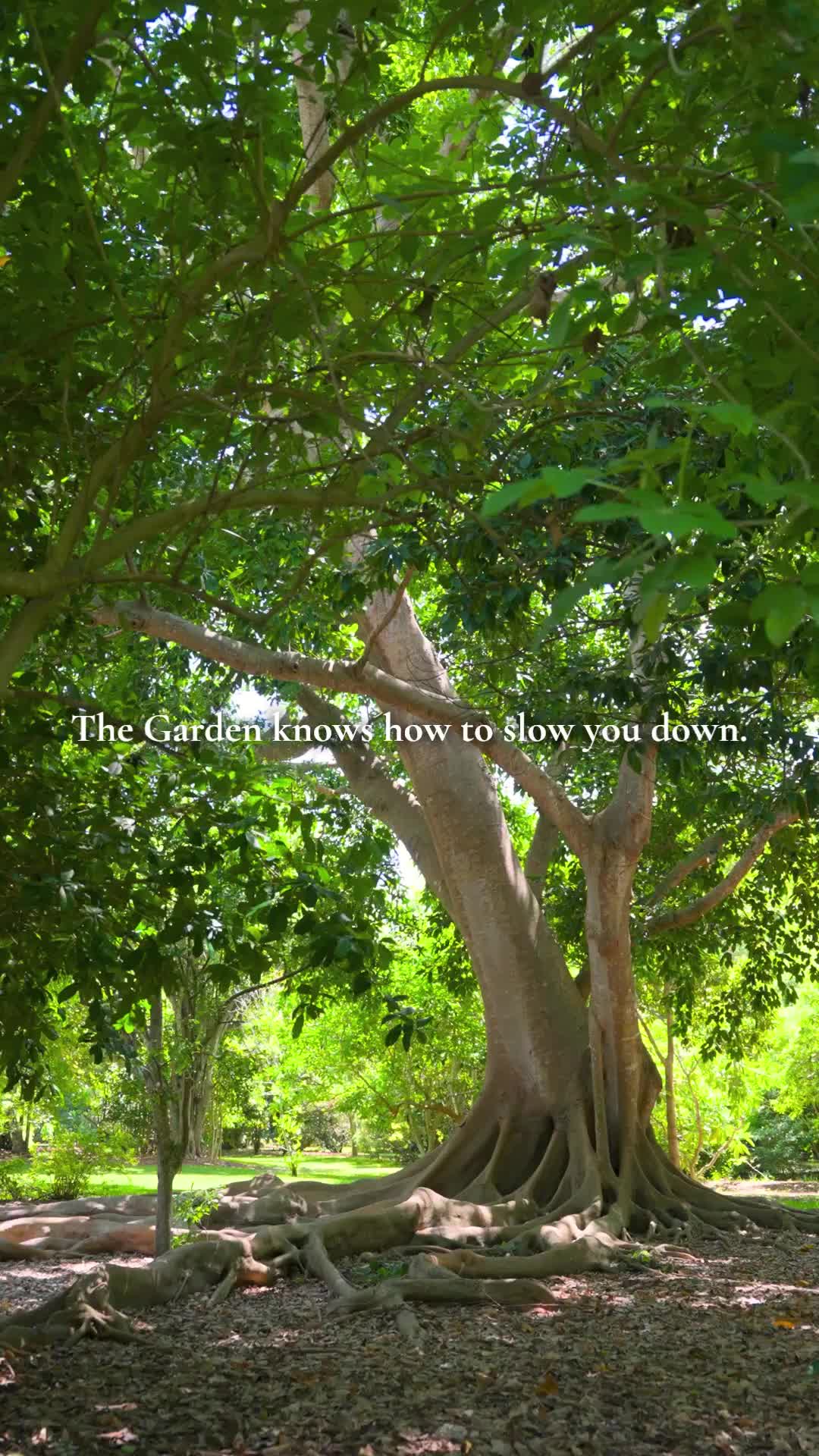 @Fairchild Botanic Garden