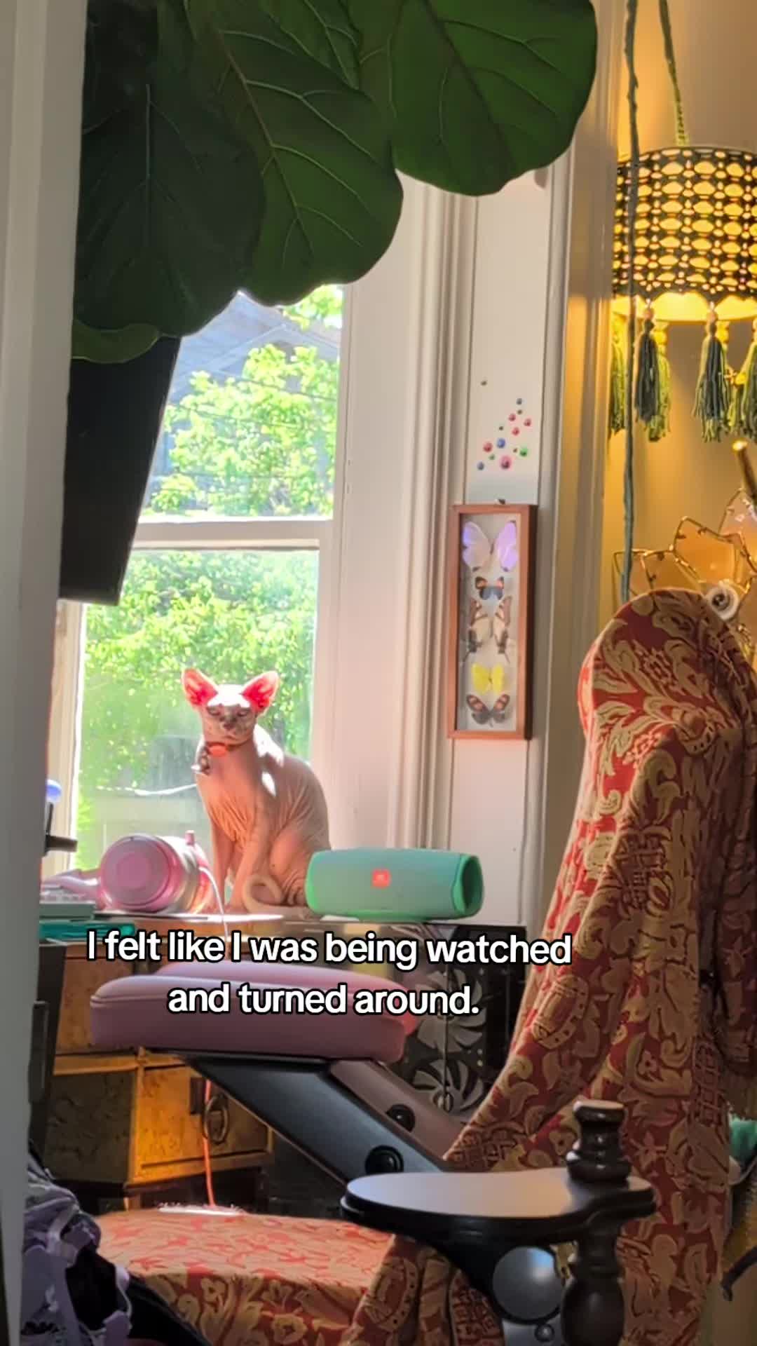 @holly graphic