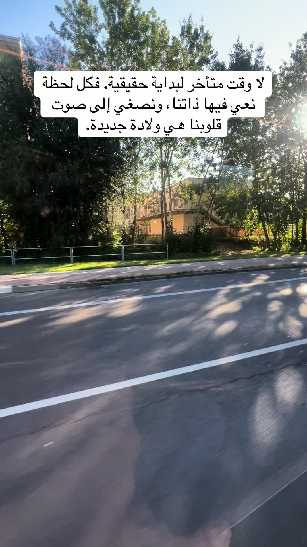 @tuteh🌷